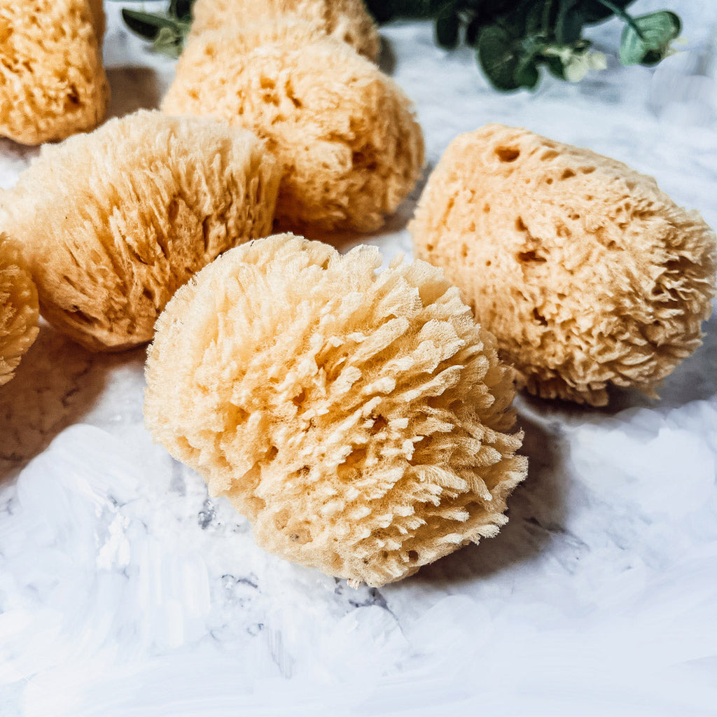 Dead Sea Natural Bath Sponge 3-4 Inch Exfoliating Cleansing Soft Skin